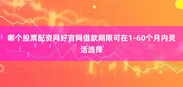哪个股票配资网好官网借款期限可在1-60个月内灵活选择