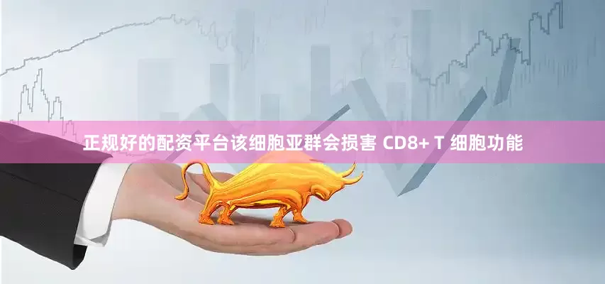 正规好的配资平台该细胞亚群会损害 CD8+ T 细胞功能